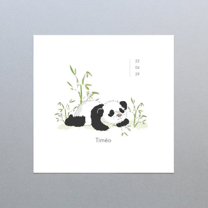 Bébé panda